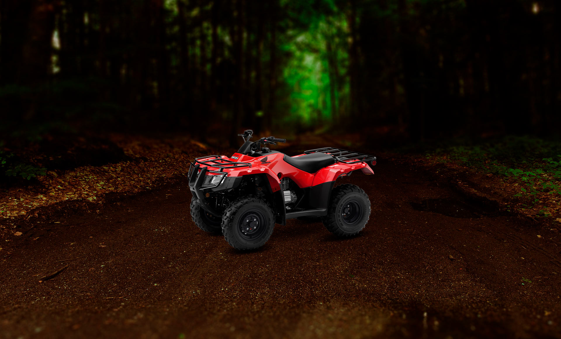 image of product TRX250TM